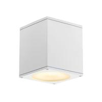 SLV 229551 Big Theo Buitenplafondlamp Halogeen, LED GU10 75 W Wit - thumbnail