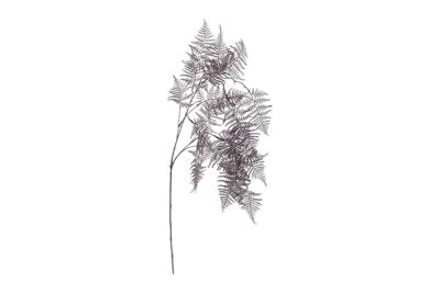 Kunstblad Asparagus metallic paars Countryfield - Countryfield