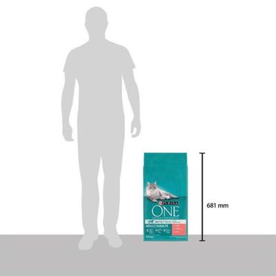 PURINA ONE Bifensis droogvoer voor volwassen katten met zalm en volkoren granen, zak van 9,75 kg