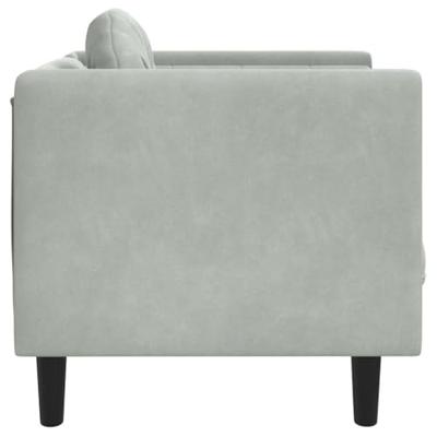 Fauteuil met kussen fluweel lichtgrijs Fauteuil met kussen fluweel lichtgrijs