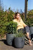 Capi plantenbak waste smooth 43x41 cm grijs - thumbnail