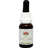 Australian Bush Dog rose 15 Milliliter - thumbnail