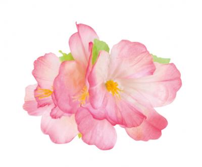 Boland Haaraccessoire Hawaii Hibiscus Dames 12 Cm Polyester Roze