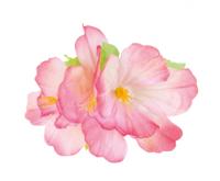 Boland Haaraccessoire Hawaii Hibiscus Dames 12 Cm Polyester Roze - thumbnail