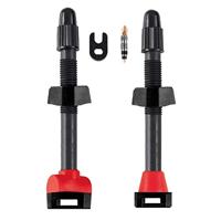 Barbieri tubeless valve carbonaria sv 50mm black 2 pieces - thumbnail