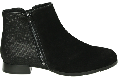 Hassia 302113 - alle