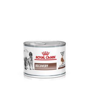 Royal Canin Cat/dog Recovery Wet 12x195g