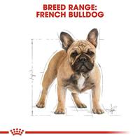 Royal Canin Adult Franse Bulldog hondenvoer 2 x 9 kg - thumbnail
