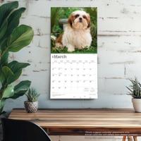 Shih Tzu Puppies Kalender 2026 - thumbnail
