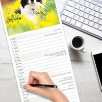 Border Collie Kalender 2026 Slimline - thumbnail