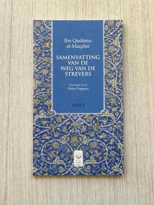 Samenvatting van de weg van de strevers (Paperback)