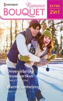 Onvergetelijke nieuwjaarskus / Warme omhelzing - Scarlet Wilson, Nikki Logan - ebook - thumbnail