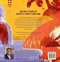 Anansi de spin en de wedstrijd tegen Schildpad - thumbnail