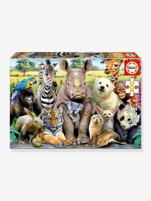 Puzzel Educa EB15908 300 Onderdelen