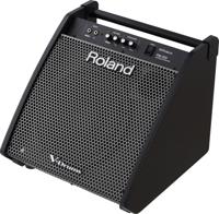 Roland PM-200 - thumbnail