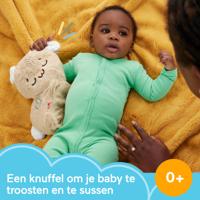 Knuffel met Geluid Fisher-Price Konijn Plastic - thumbnail