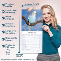 Parkieten Kalender 2026 - thumbnail