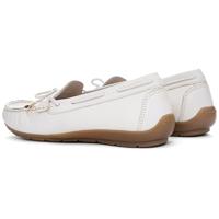 Ara 1219212 - alle - thumbnail