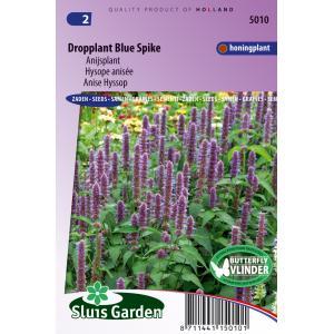 Dropplant / Anijsplant zaden Blue Spike