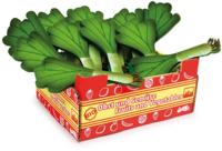 Small Foot prei box hout junior 17 x 14 x 8,5 cm 13 delig - thumbnail