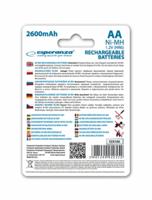 Esperanza EZA106 huishoudelijke batterij Nikkel-Metaalhydride (NiMH) - thumbnail