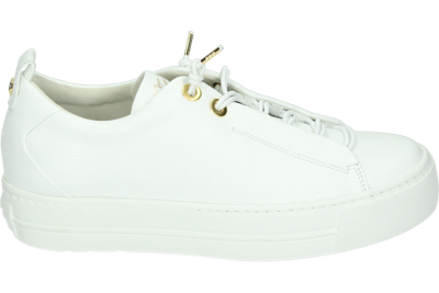 Paul Green 5017 - alle