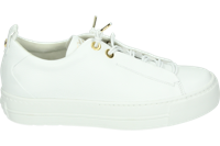 Paul Green 5017 - alle - thumbnail