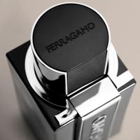 Herenparfum Salvatore Ferragamo FERRAGAMO SUBLIME LEATHER EDP 100 ml - thumbnail