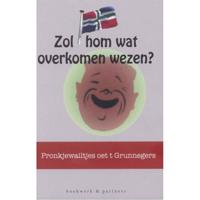 Zol hom wat overkomen wezen? - Reint Renkema - Paperback (9789054022787) - thumbnail