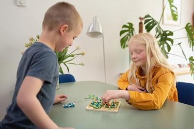 BS Toys dots & boxes houten spel