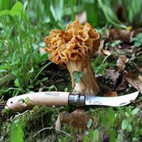 OPINEL - N.8 - Champignonzakmes Virobloc Naturel - thumbnail