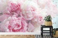 Fotobehang - Bloeiende Pioenrozen, Roze, prachtig aan de wand, in 11 maten te koop, incl behanglijm - thumbnail