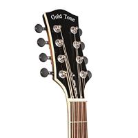 Gold Tone Mandocello inclusief hardcase - thumbnail