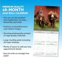 Ierse Setter Kalender 2026 - thumbnail