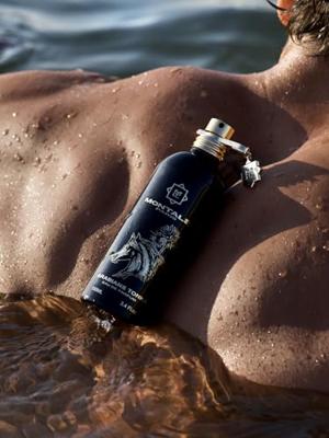 Montale Paris Arabians Tonka Eau de Parfum 100ml