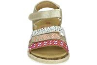 Develab 44334 - alle - thumbnail