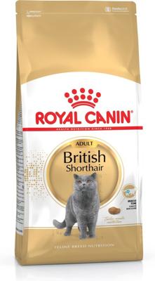 ROYAL CANIN British Shorthair - droog kattenvoer - 2 kg