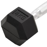 Halters 2 st 8 kg totaal gietijzer - thumbnail