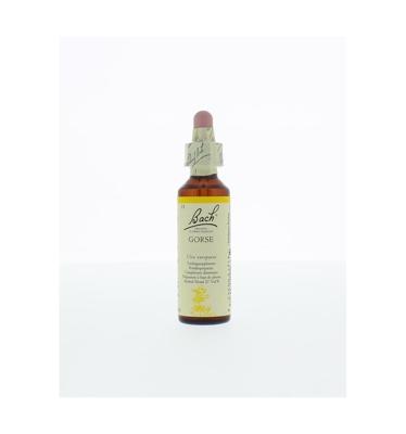Bach Flower Remedies Gaspeldoorn 13 Bach Flower Remedies Gaspeldoorn 13