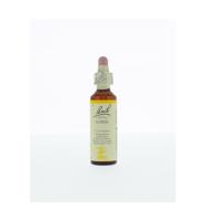 Bach Flower Remedies Gaspeldoorn 13 - thumbnail