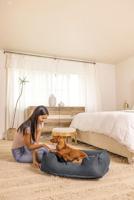 Intex Hondenmand Antraciet Maat XS/S 1 stuk(s) - thumbnail