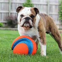 CHUCKIT KICK FETCH - thumbnail