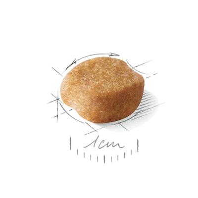 ROYAL CANIN Yorkshire Terrier 8+ Droog hondenvoer Gevogelte 1,5 kg