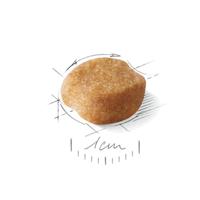 ROYAL CANIN Yorkshire Terrier 8+ Droog hondenvoer Gevogelte 1,5 kg - thumbnail