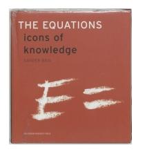 The Equations - Sander Bais - ebook