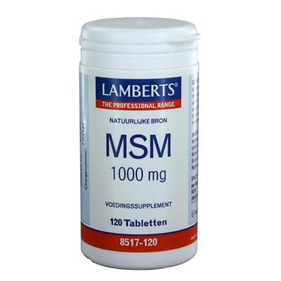 Lamberts MSM 1000mg Tabletten