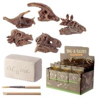 Dinosaurus Schedel Opgraving set - 1 stuk - thumbnail