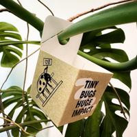 BIOBOX | 5 uitzetdoosjes - thumbnail