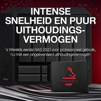 Seagate IronWolf 125 2 TB ssd ZA2000NM1A002, SATA/600, 3D TLC NAND - thumbnail