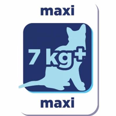 Renske Graanvrij Super Premium vers bereid zalm kattenvoer 2 x 6 kg